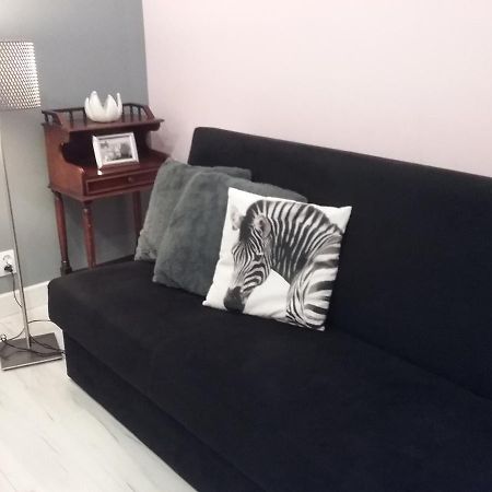 Vintage - Rose Apartament Stary Toruń 外观 照片