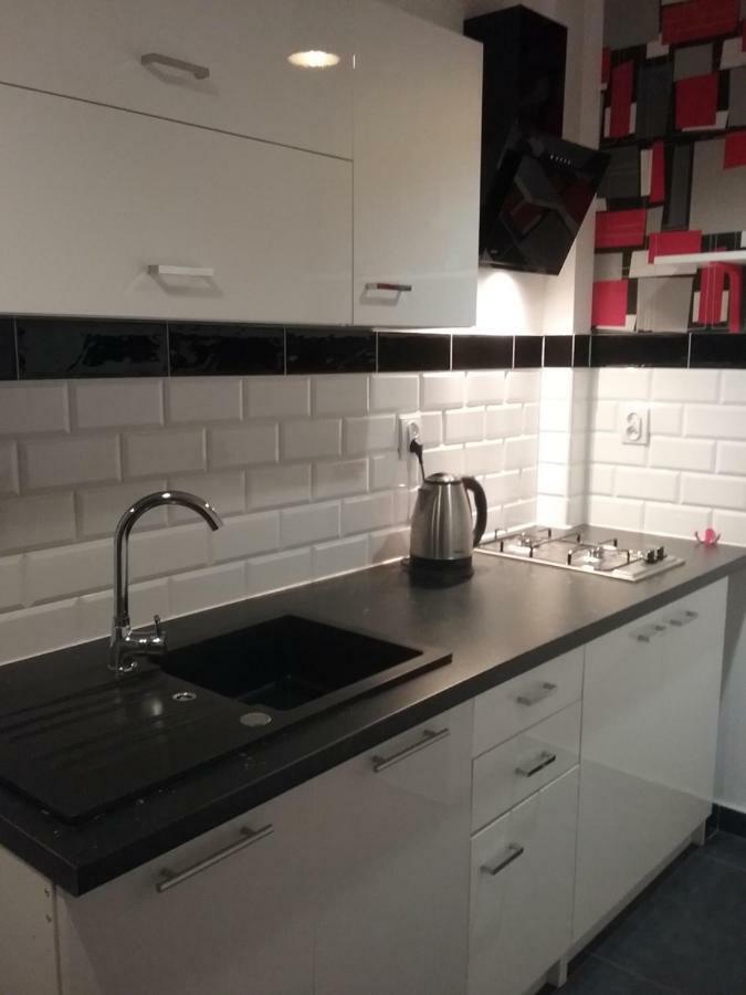 Vintage - Rose Apartament Stary Toruń 外观 照片