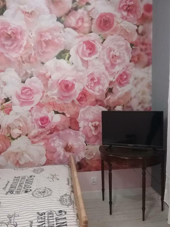 Vintage - Rose Apartament Stary Toruń 外观 照片