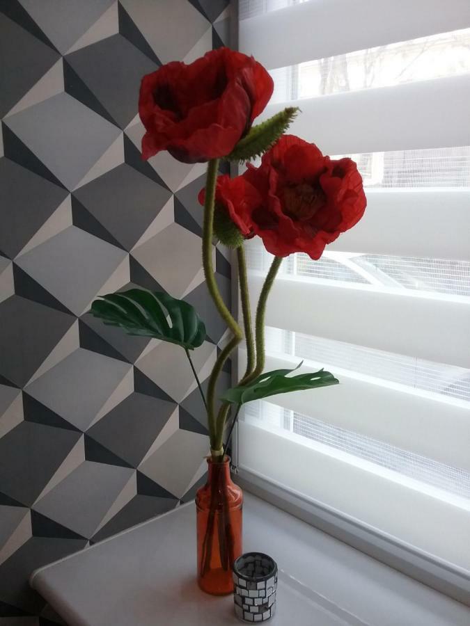 Vintage - Rose Apartament Stary Toruń 外观 照片