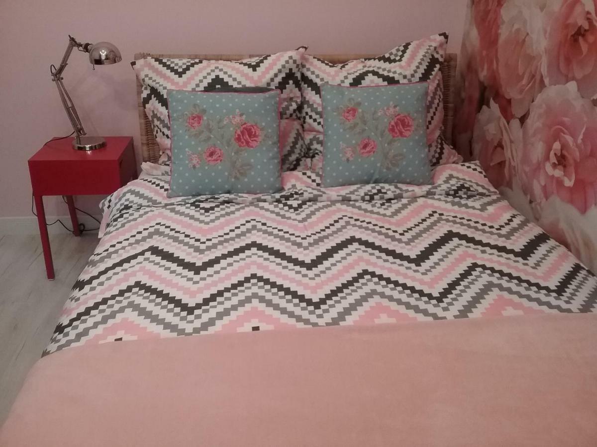 Vintage - Rose Apartament Stary Toruń 外观 照片